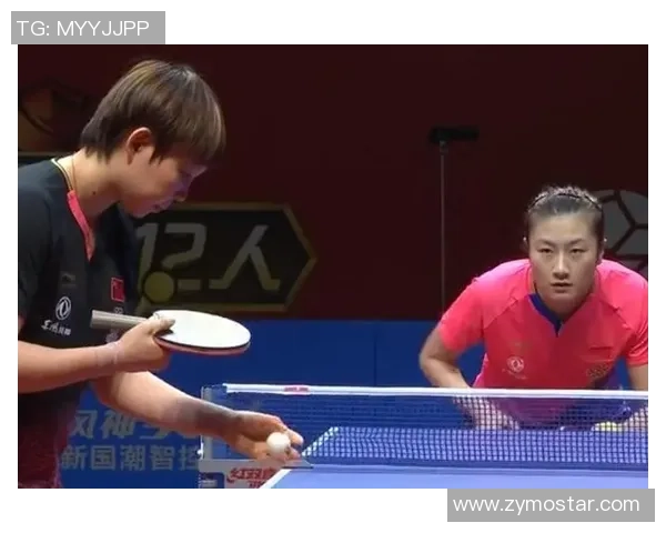 北京排球队灵活性展现出色大满贯点评分析其战术与表现