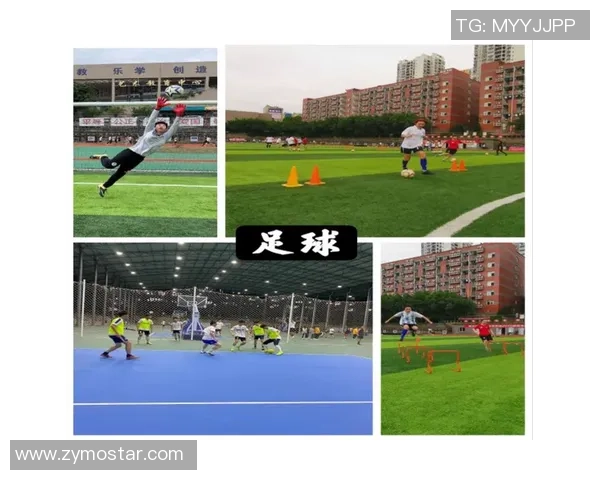 重庆排球队边路渗透新策略探索与实践分析 重庆排球队边路渗透新策略探索与实践分析