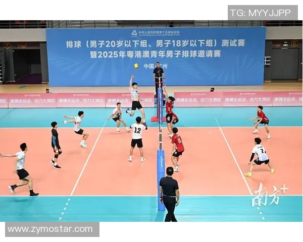 黄芳的排球人生：从赛场到人生的深度对话与启示