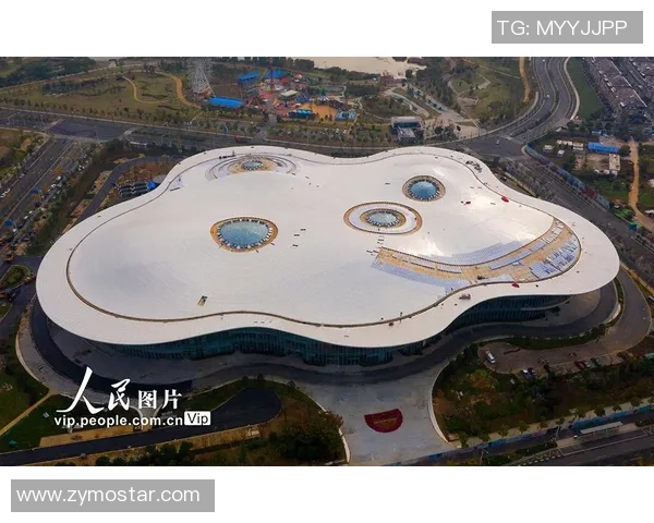 南京极限运动队状态全面对比分析及未来发展趋势探讨