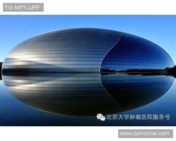 抗癌足球:用激情与团结点燃希望之光,助力战胜癌症的勇士们 抗癌足球:用激情与团结点燃希望之光,助力战胜癌症的勇士们