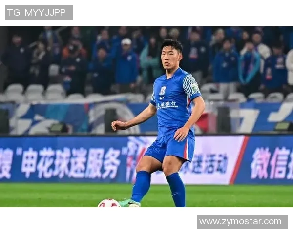 申花足球的荣耀与挑战：重塑球队精神与未来发展之路