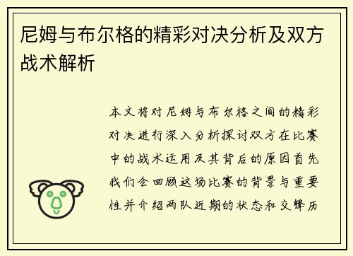 尼姆与布尔格的精彩对决分析及双方战术解析