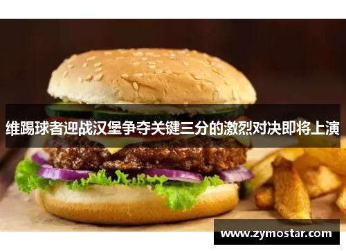 维踢球者迎战汉堡争夺关键三分的激烈对决即将上演